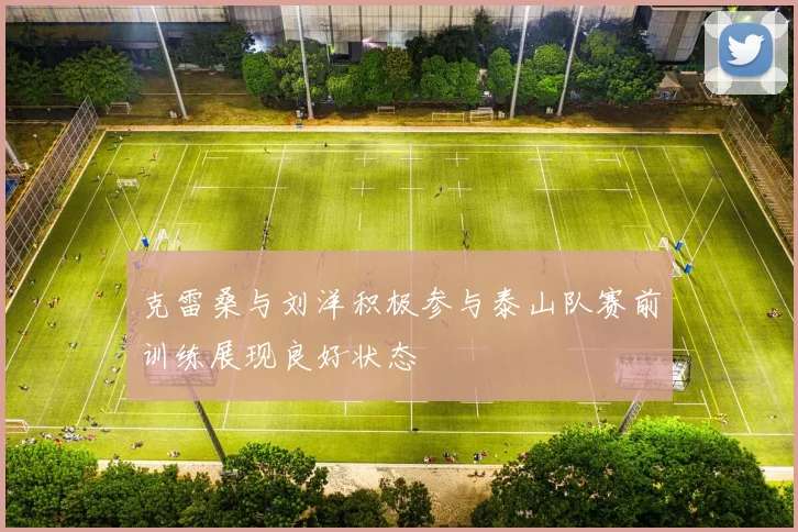 克雷桑与刘洋积极参与泰山队赛前训练展现良好状态