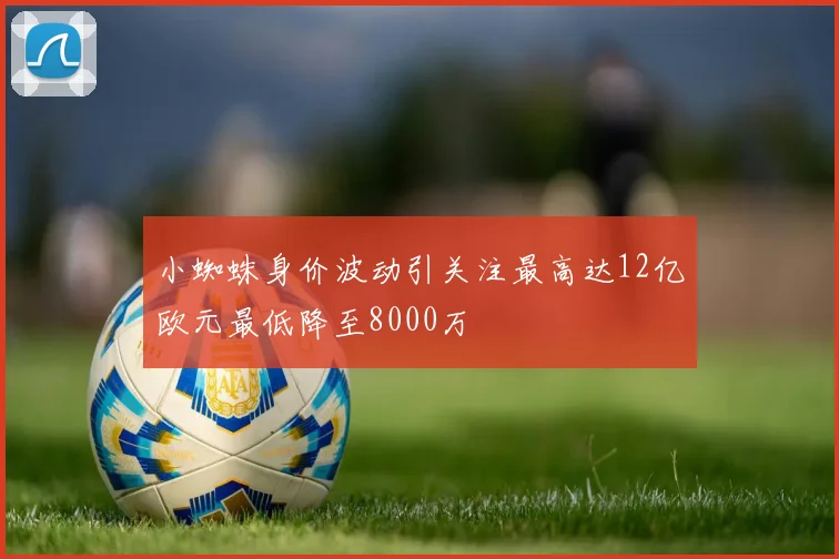 小蜘蛛身价波动引关注最高达12亿欧元最低降至8000万